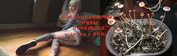 гидропоника Краснотурьинск