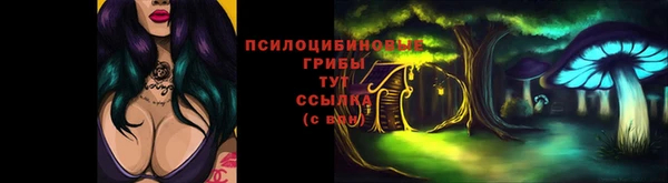 прущие крисы Красноперекопск