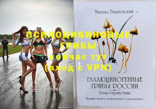 ГАЛЛЮЦИНОГЕННЫЕ ГРИБЫ Куйбышев