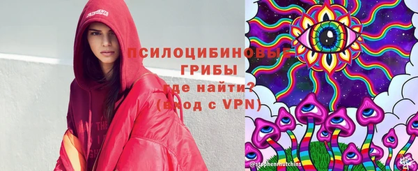 альфа пвп Краснослободск