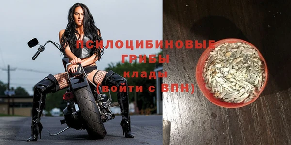 альфа пвп Краснослободск
