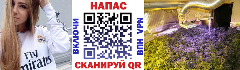 Бошки марихуана планчик KRAKEN ССЫЛКА Домодедово